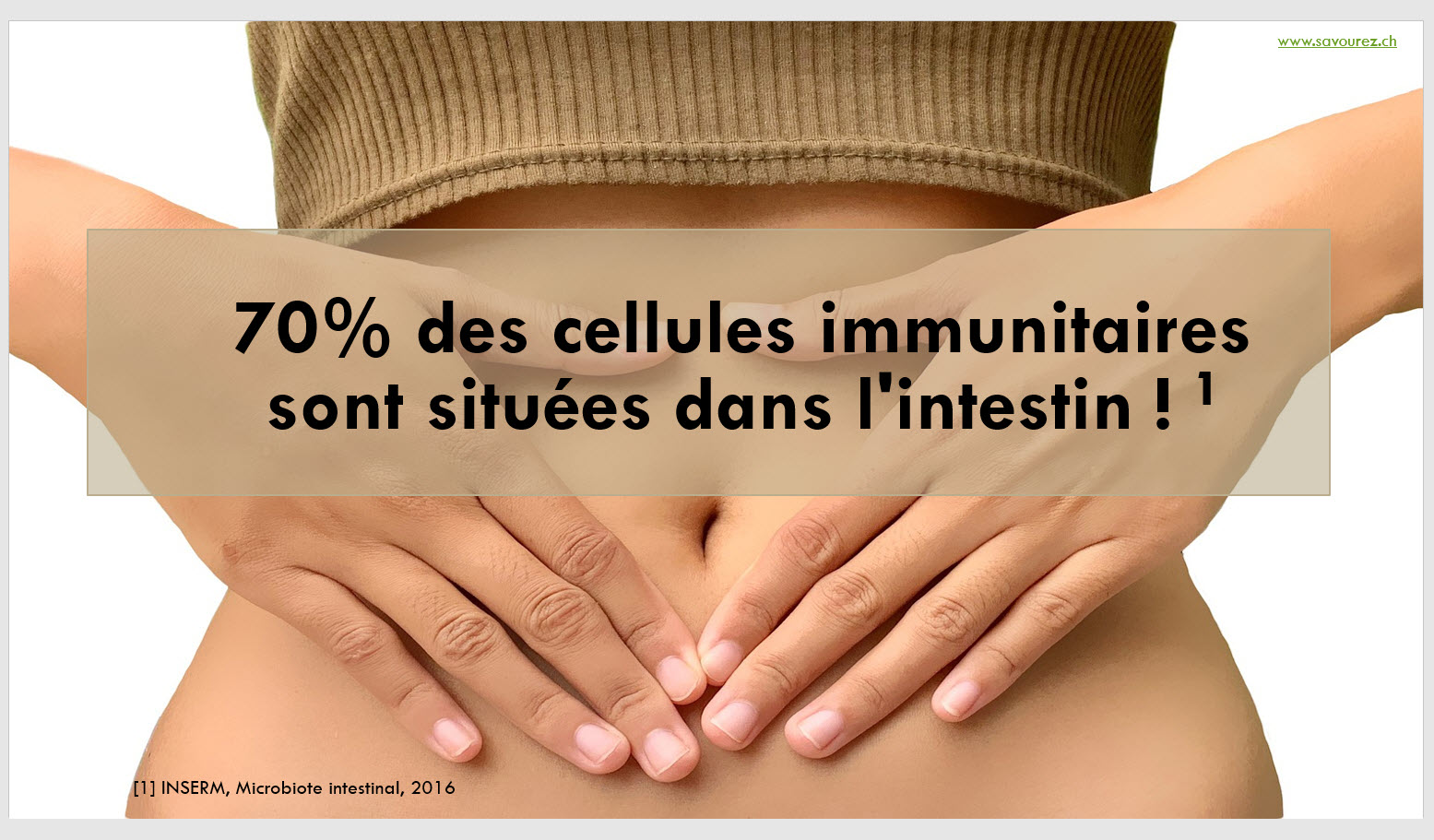 immunité dans les intestins